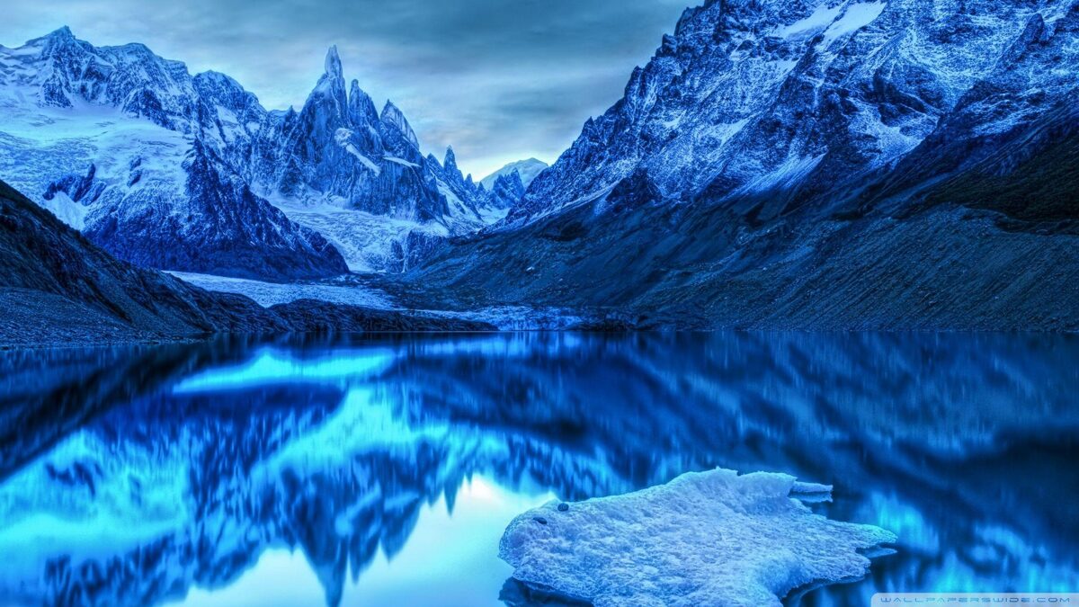 NATURALEZA.jpg